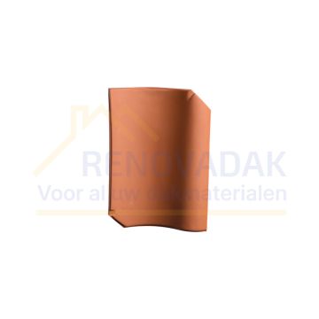 Dakpan Monier Oude Holle