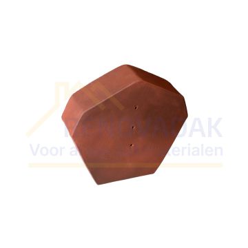 HV Begin-/Eindkap Type S Monier Signy-Finnez